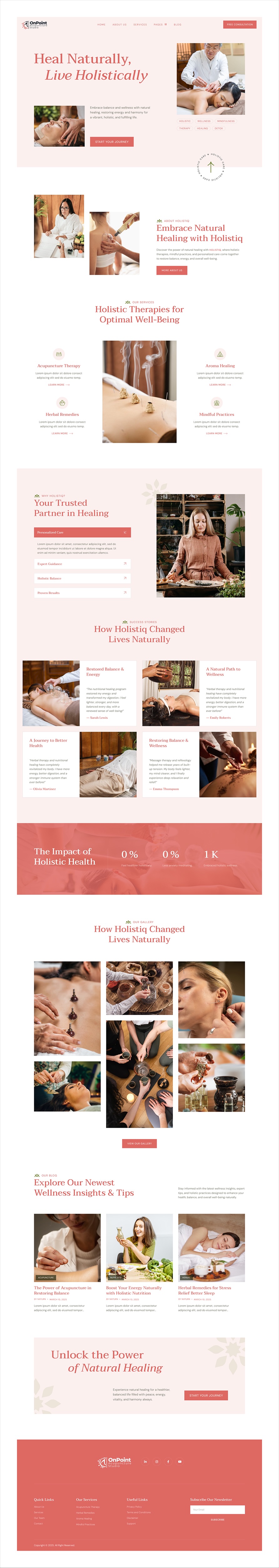 Acupuncturists website example by One Eleven Web Design