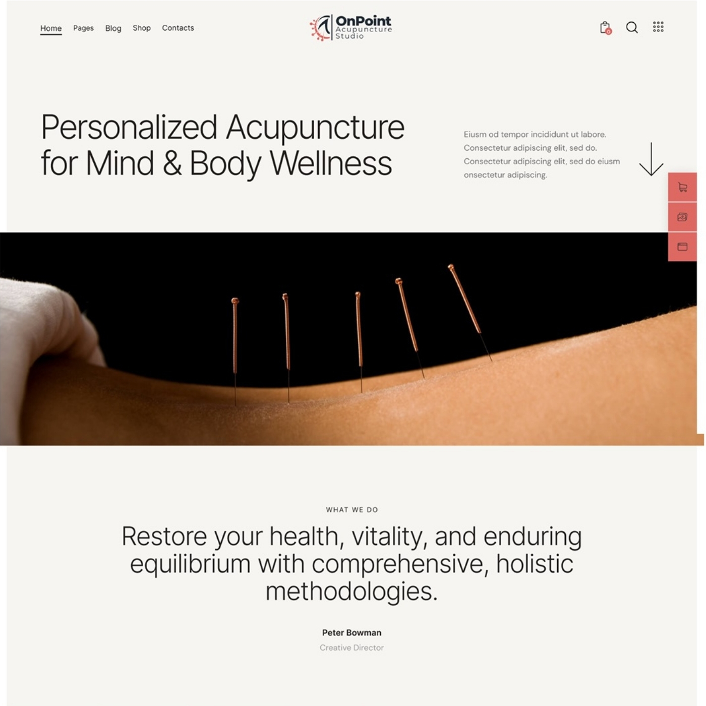 Acupuncturist website example by One Eleven Web Design