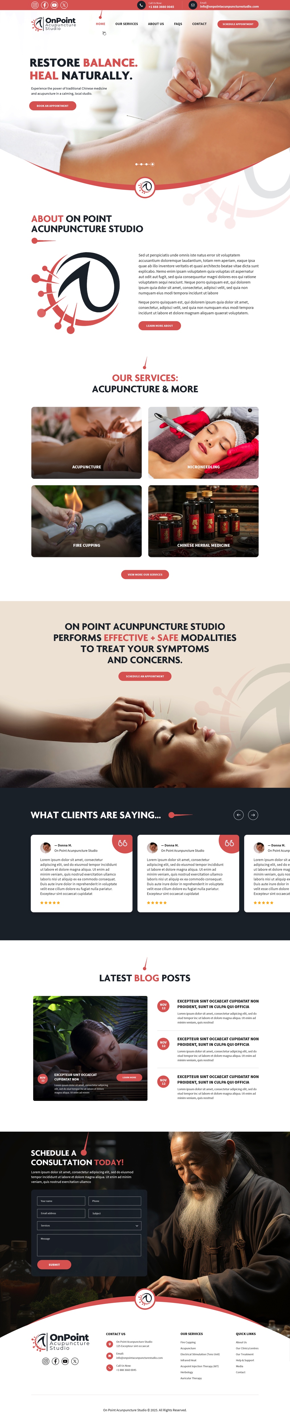 Acupuncturists website example by One Eleven Web Design