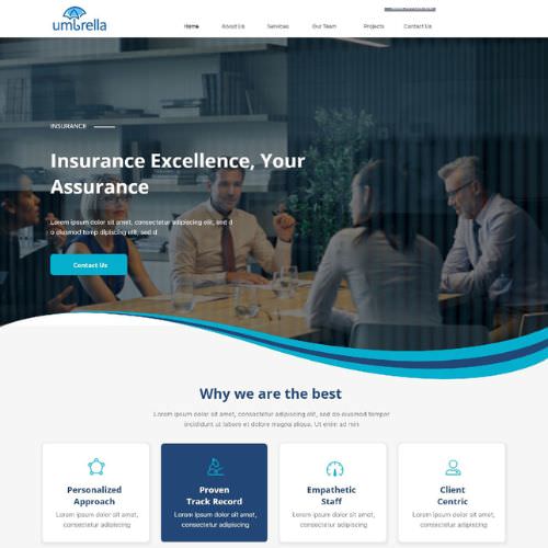 Insurance agency website example by One Eleven Web Design