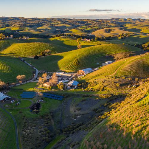 One Eleven Web Design, Paso Robles, CA