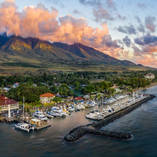 One Eleven Web Design, Lahaina, HI